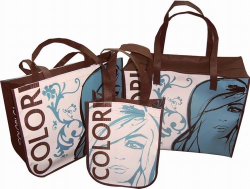 Nonwoven bag with lamination G1110