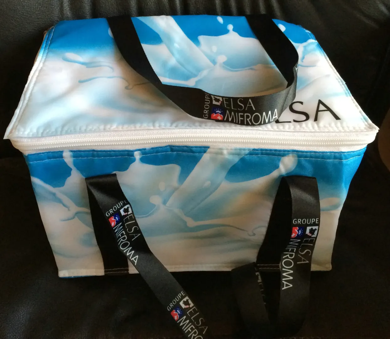 420D nylon cooler bag with full color printed G1208